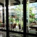Tree Tales Cafe Preview